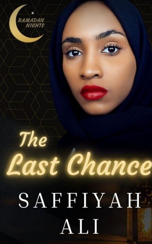 Front cover of The Last Chance